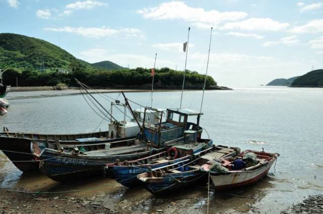 鉤魚島最新動(dòng)態(tài)，探索自然美景之旅，尋覓內(nèi)心寧靜的征途